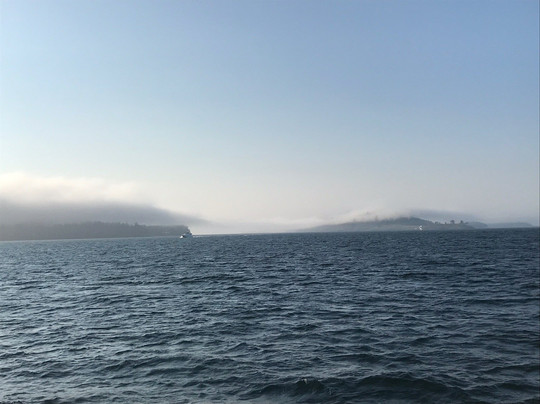 Friday Harbor Cruises-星期五港湾必去景点