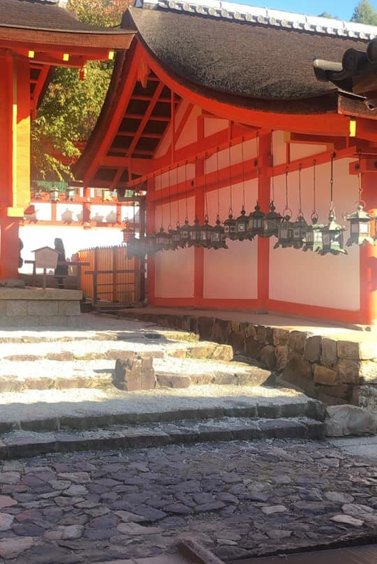 Kasuga Shrine-Osu必去景点