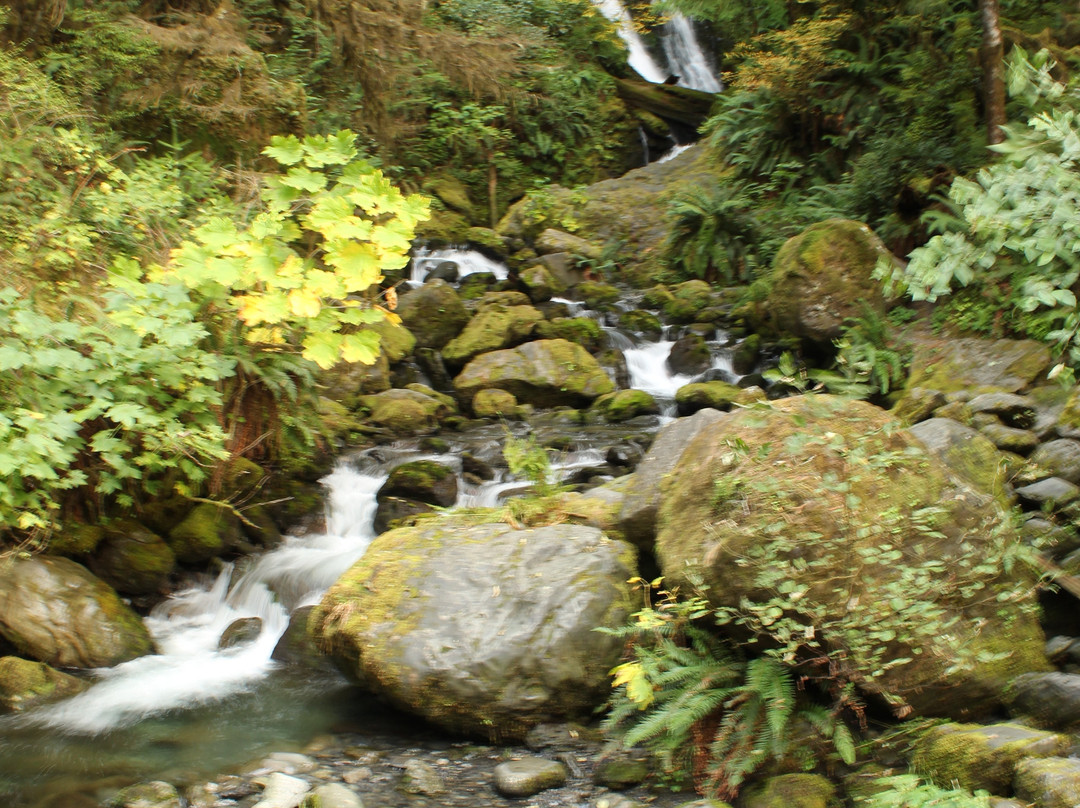 Bunch Creek Falls景点图片
