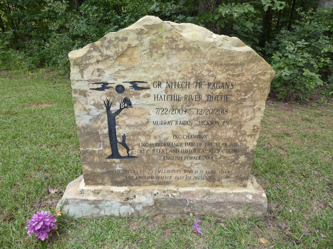 Coon Dog Cemetery-Cherokee必去景点