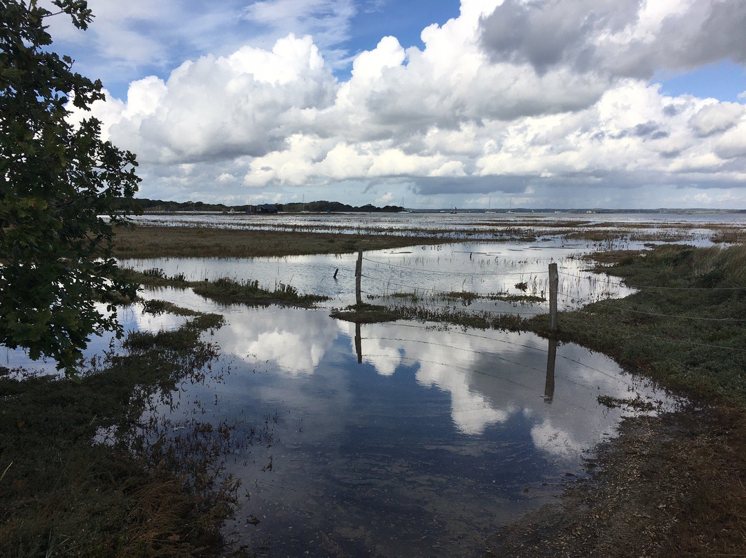 Newtown National Nature Reserve景点图片