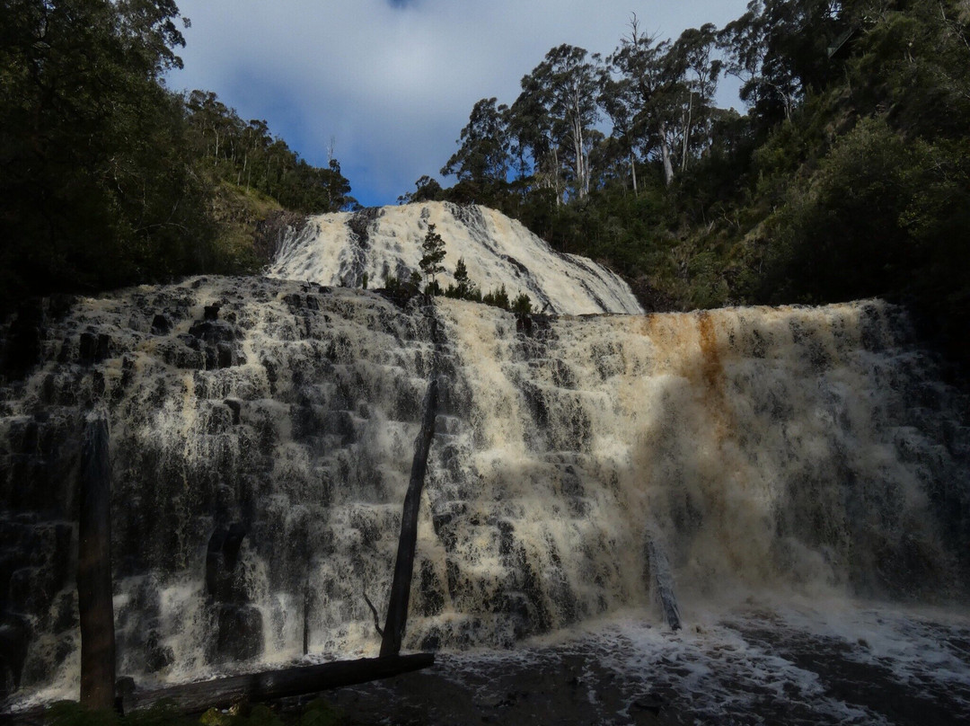 Dip River Forest Reserve景点图片