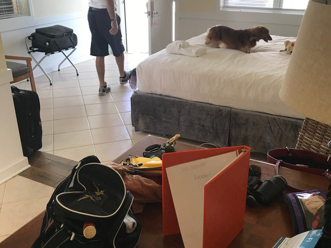 Sea Gull Motel主图