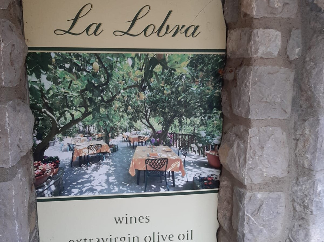 Agriturismo La Lobra主图