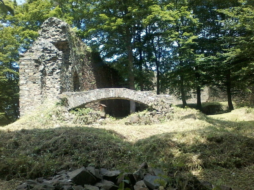 Vikštejn u Radkova Ruin景点图片