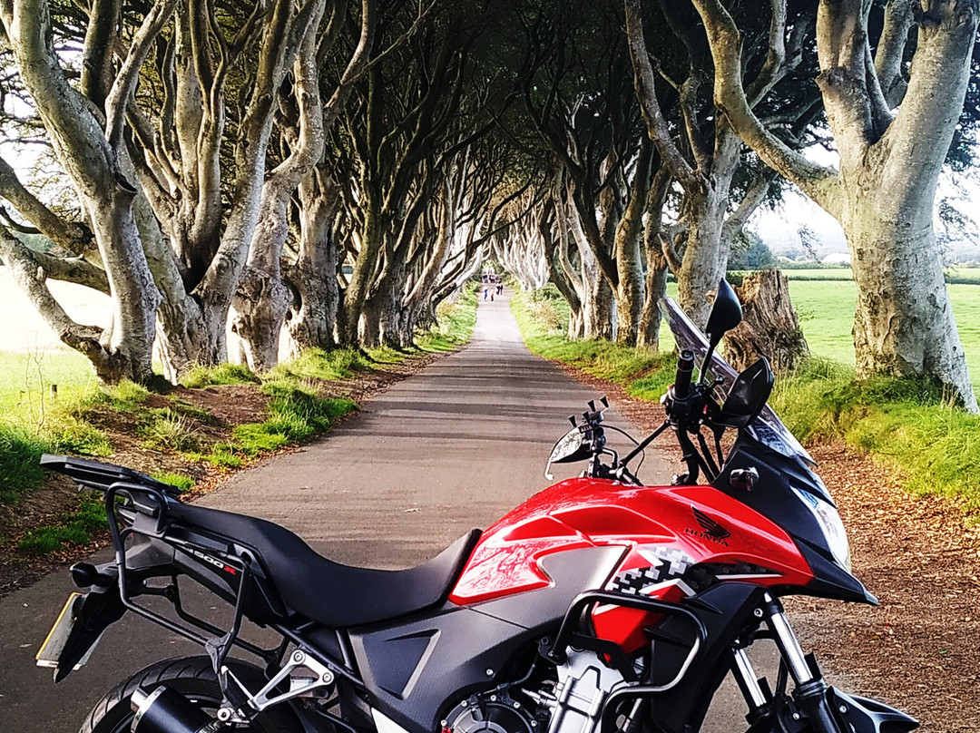 Flyride Ireland (formerly Belfast Motorcycle Rentals)景点图片