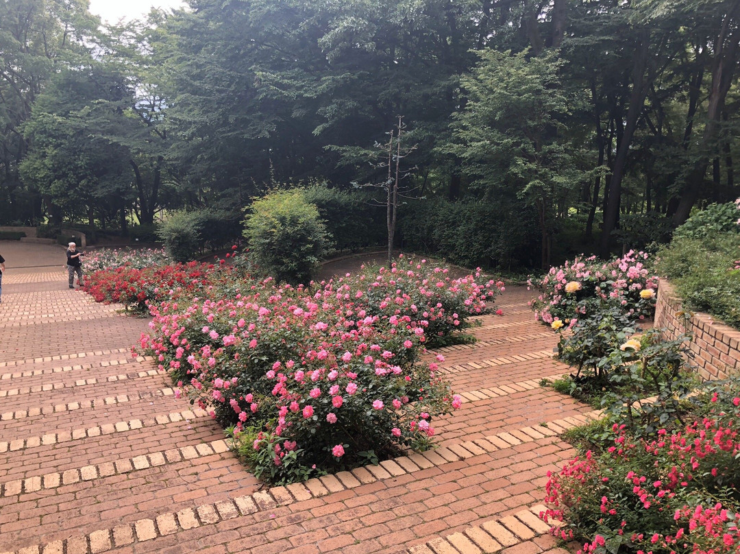 Sagamihara Kita Park-相模原市必去景点