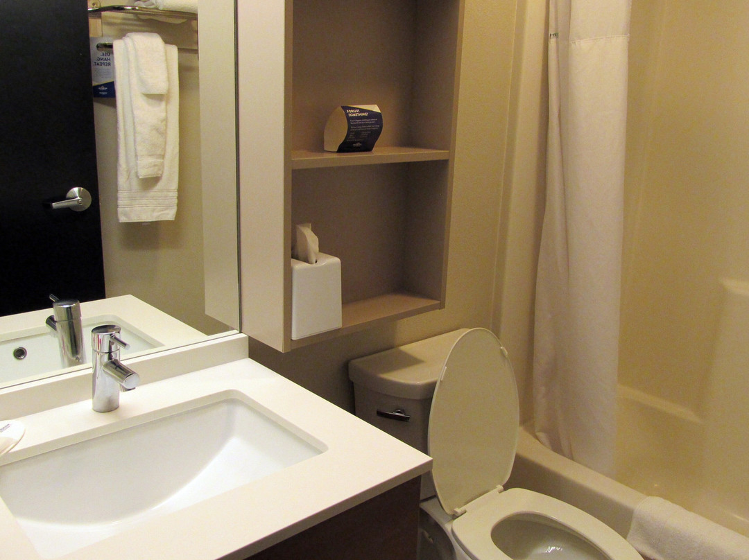 Microtel Inn & Suites by Wyndham Binghamton主图