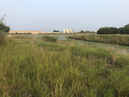 Cedar Park Sculpture Garden-斯德伯克必去景点