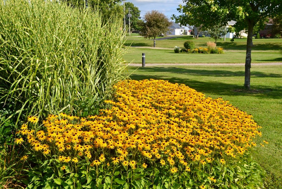Walkerton Heritage Water Garden景点图片