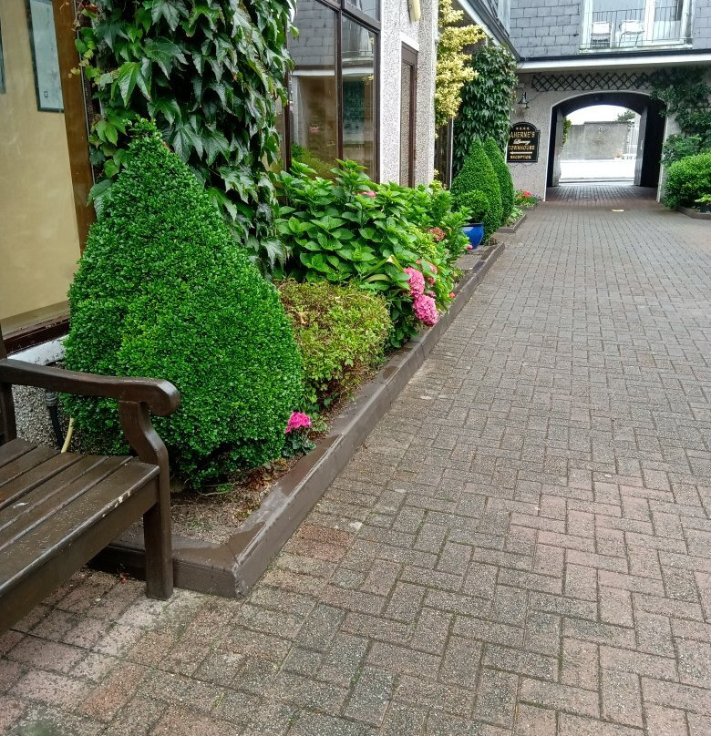 Aherne's Townhouse Hotel Youghal主图