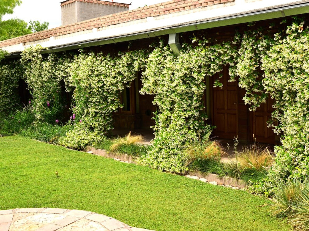 门多萨会议酒店主图