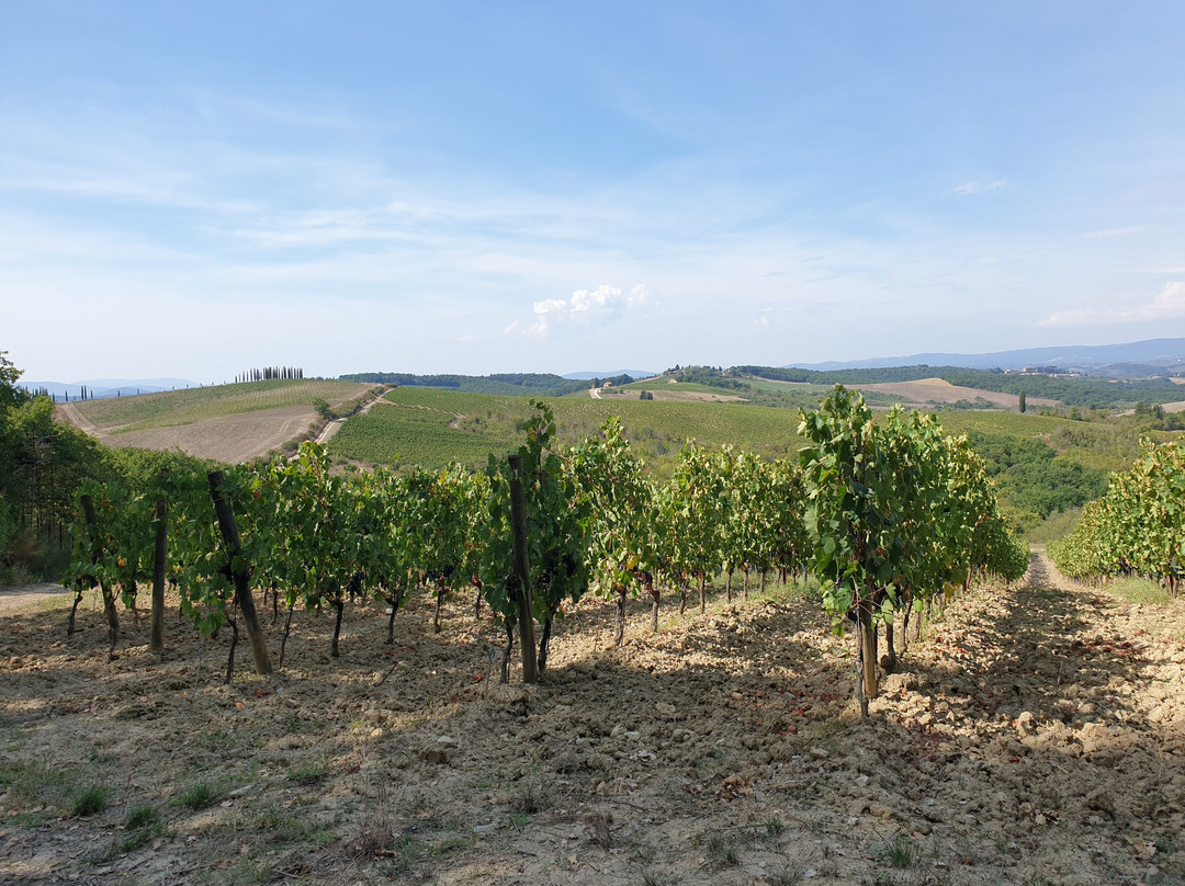 Chianti 500 Rentals-卡斯特利纳－因基安蒂必去景点