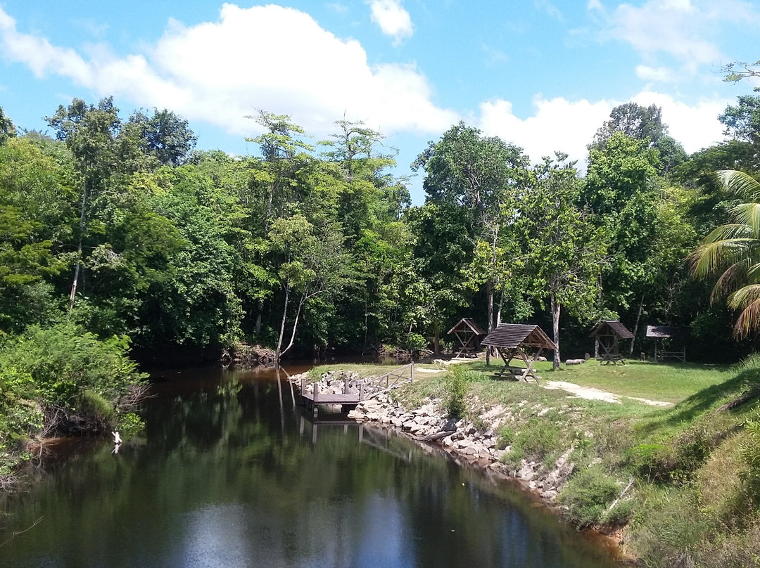 Crique Toussaint-Sinnamary必去景点