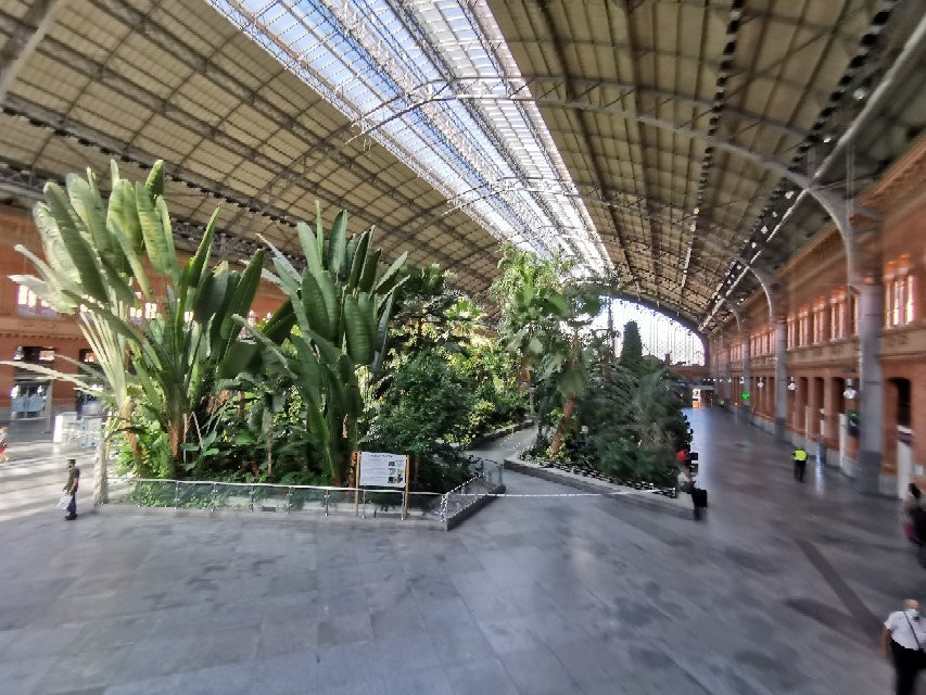 Jardin Botanico de Torretes景点图片