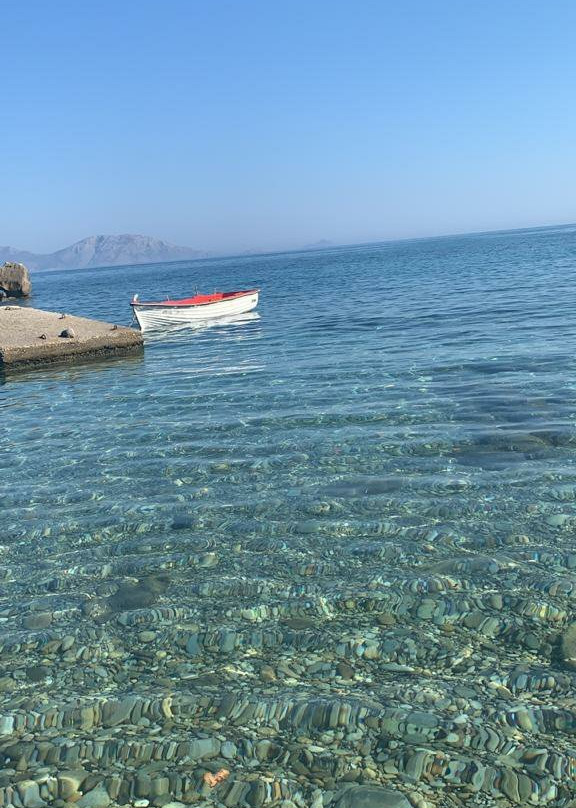 Blue SeaSide Studios主图