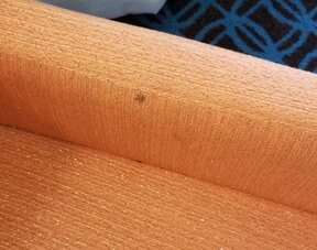 Fairfield Inn Tuscaloosa主图