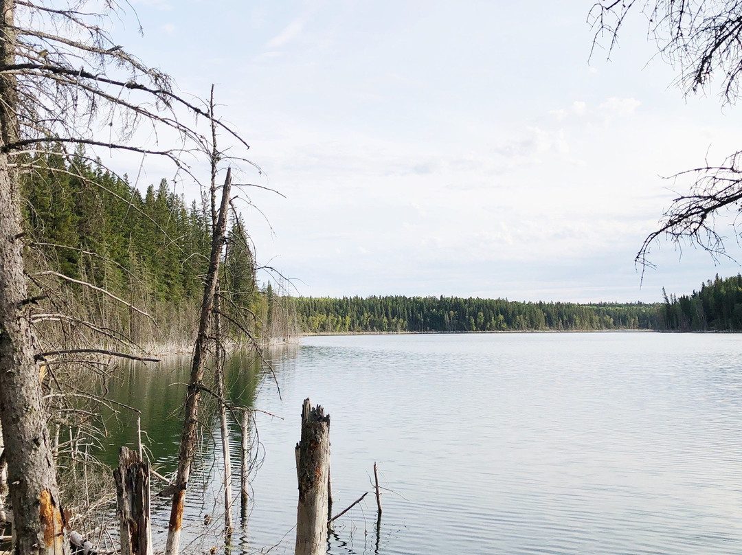 Duck Mountain Provincial Park-曼尼托巴省必去景点