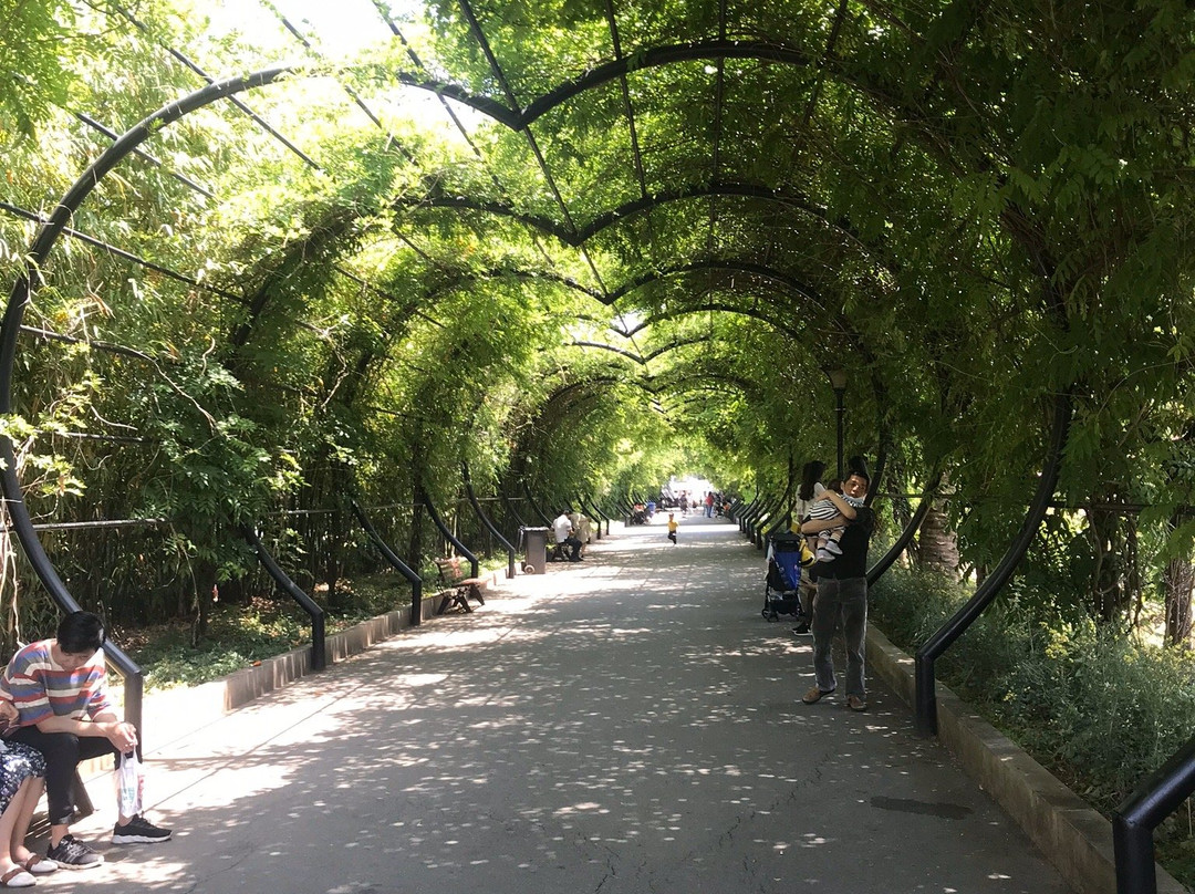 湖南森林植物园景点图片