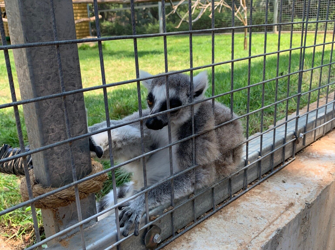 Hai-Kef-Rishon Lezion必去景点