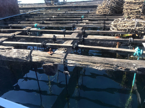 Ocean Secrets-比戈必去景点