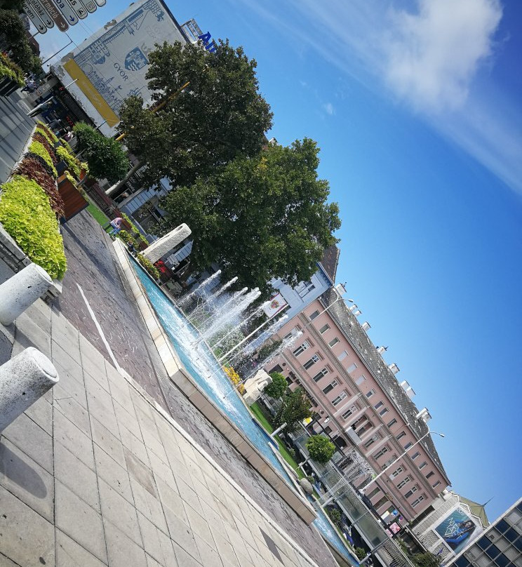 Gyor Town Hall景点图片