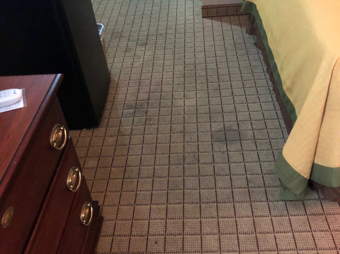 Super 8 by Wyndham Conway主图