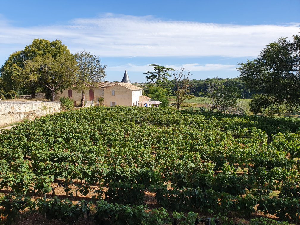 Château La Croizille景点图片