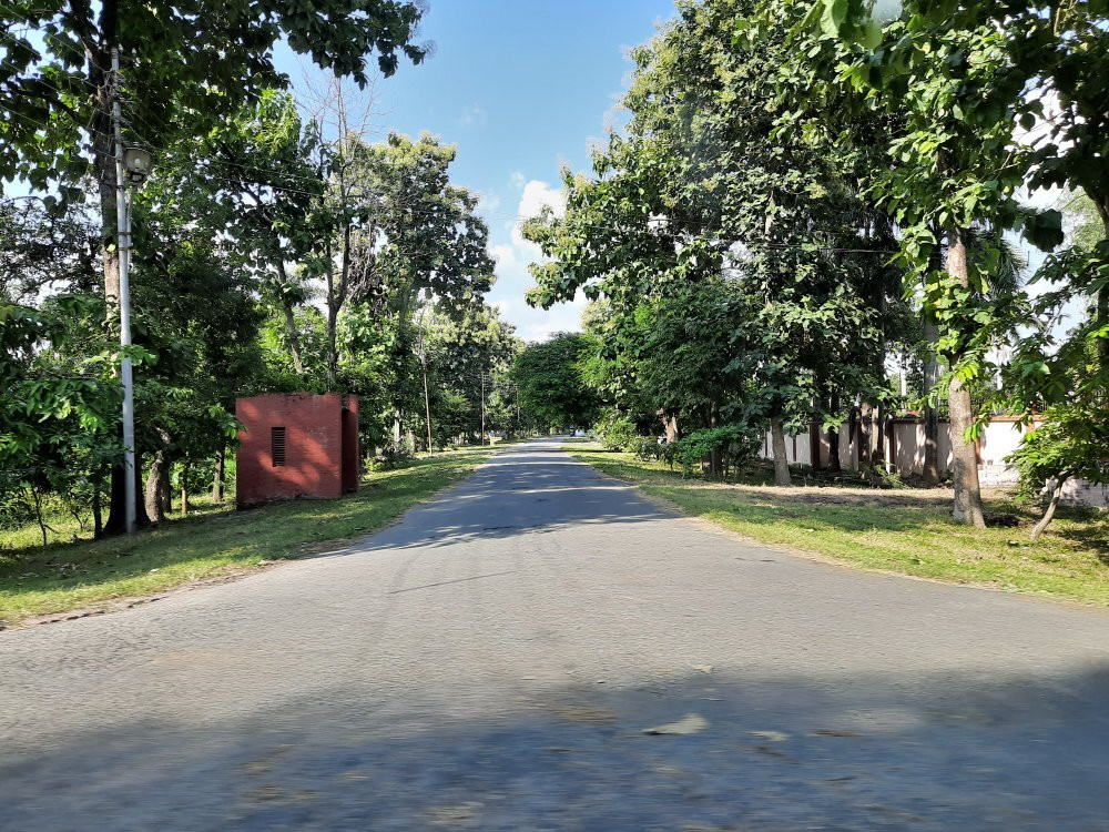 Gobind Ballabh Pant University of Agriculture & Technology景点图片