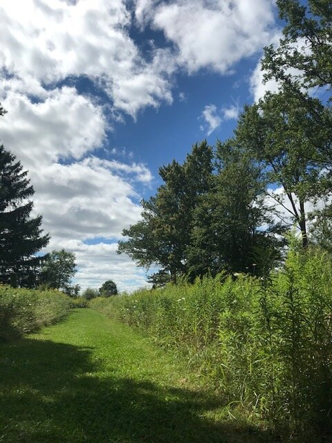 The Willowicke Inn主图