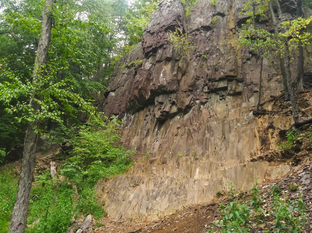 Heublein Tower-锡姆斯伯里必去景点