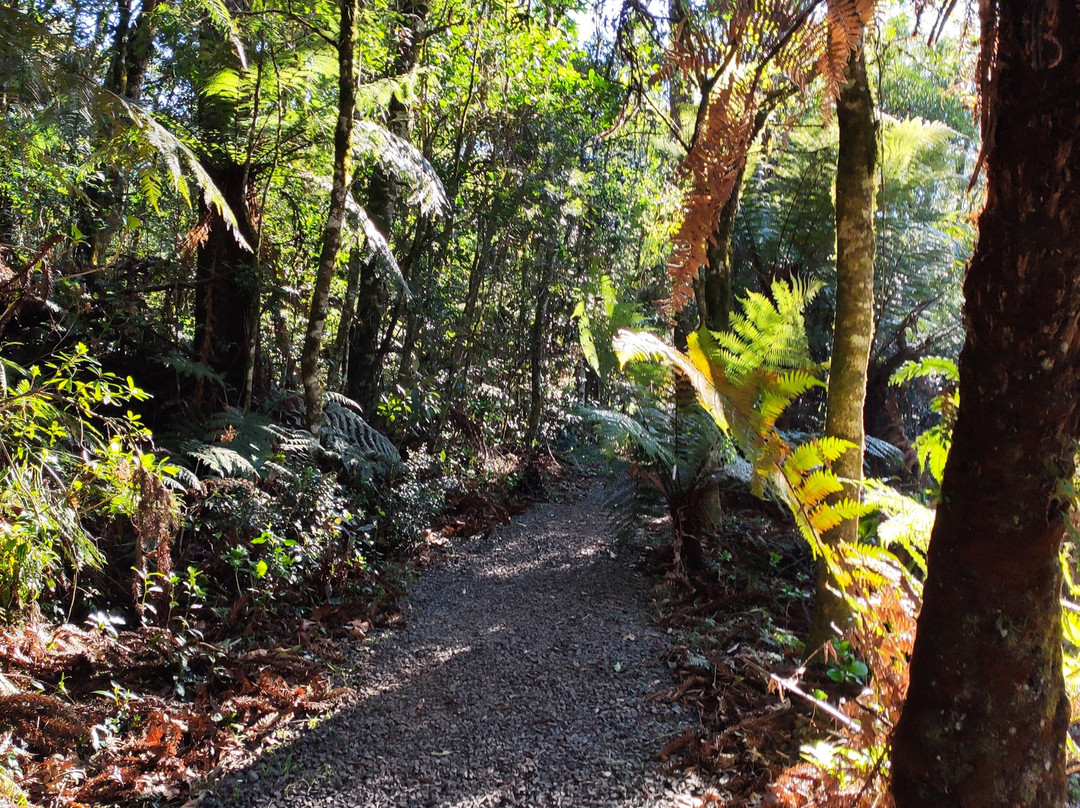 Hotel Parador Hampel主图