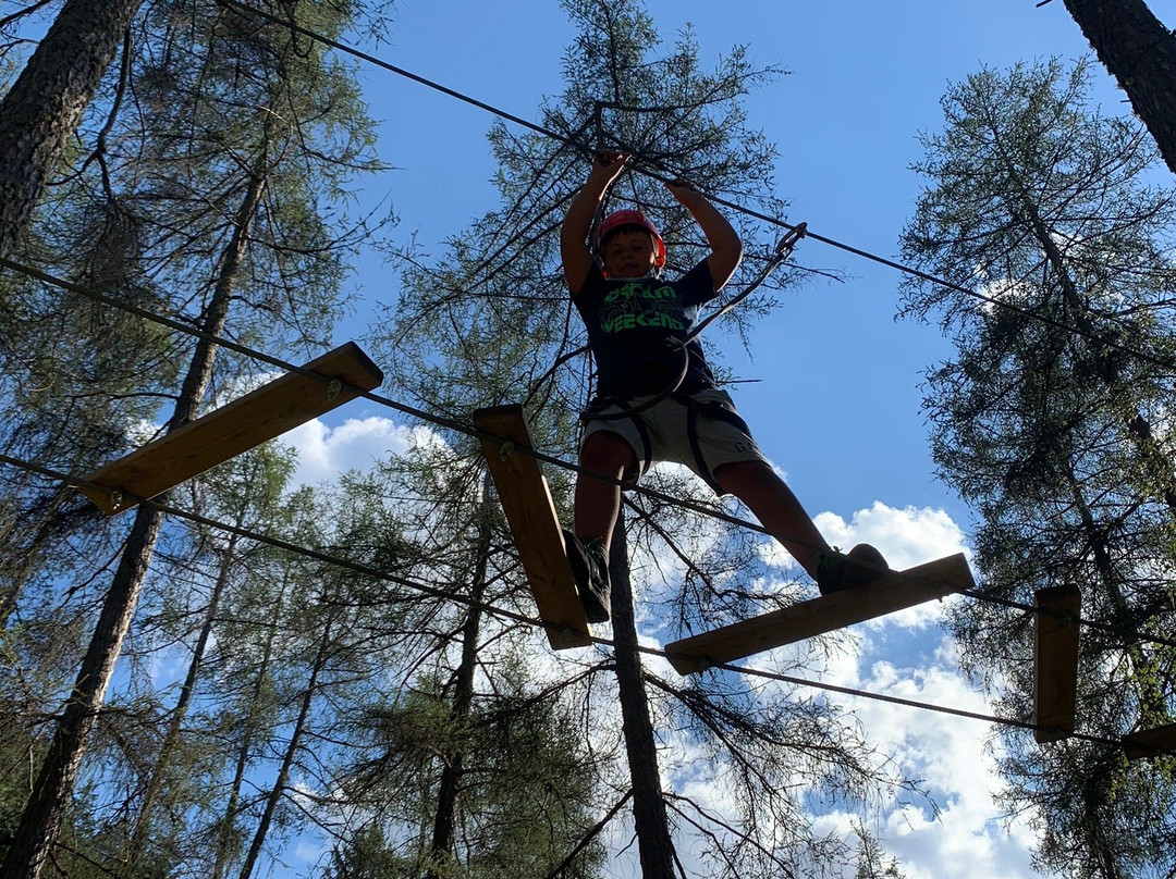 Adventure Dolomiti , Parco Avventura - Molina Di Fiemme)-Castello-Molina di Fiemme必去景点