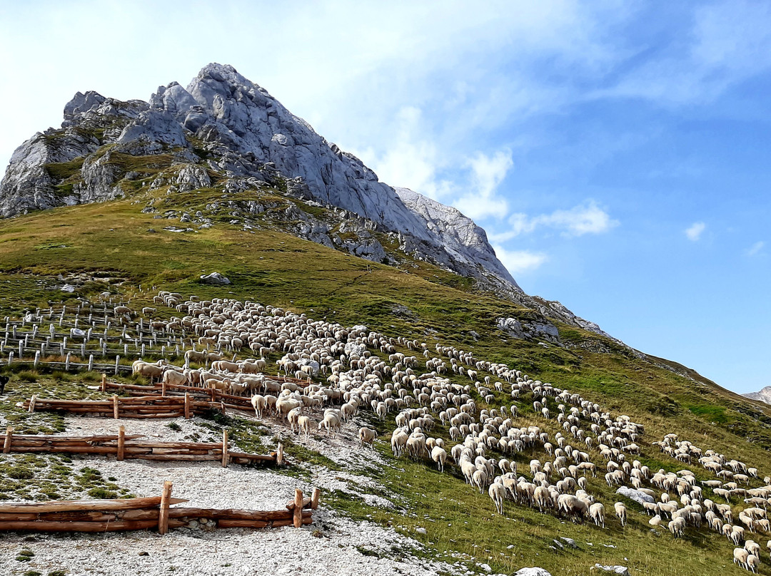 Dai Prati di Tivo al Rifugio Franchetti景点图片