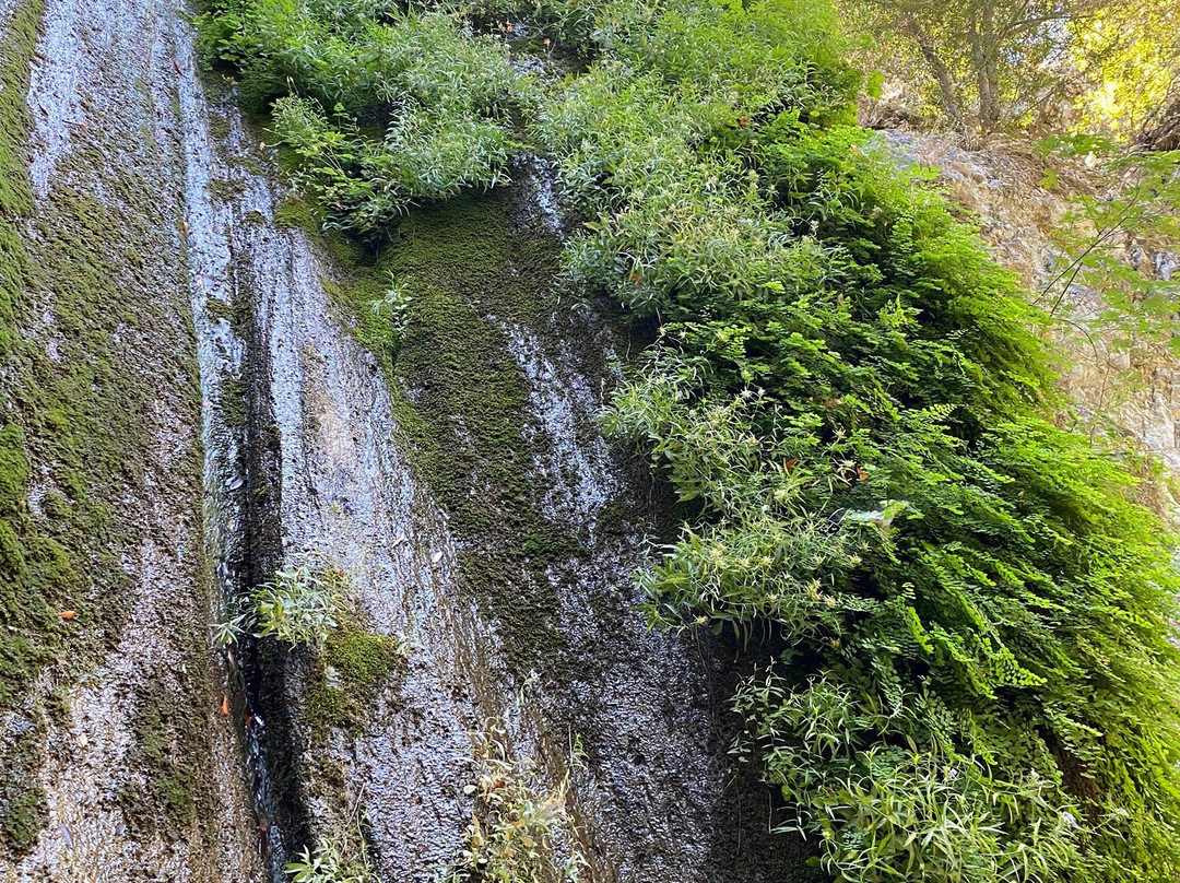 Rose Valley Falls Trail-奥海必去景点