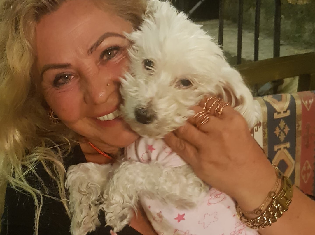 Rose Nest Cave Otel主图