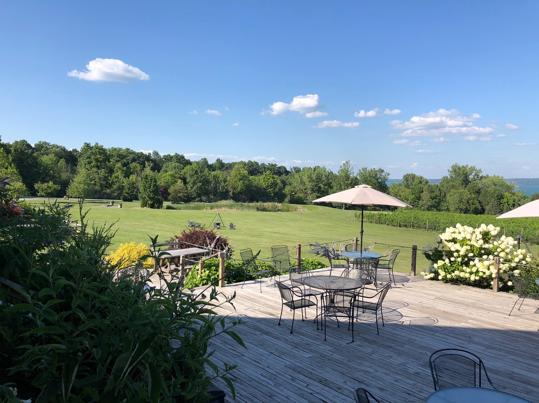 Buttonwood Grove Winery景点图片