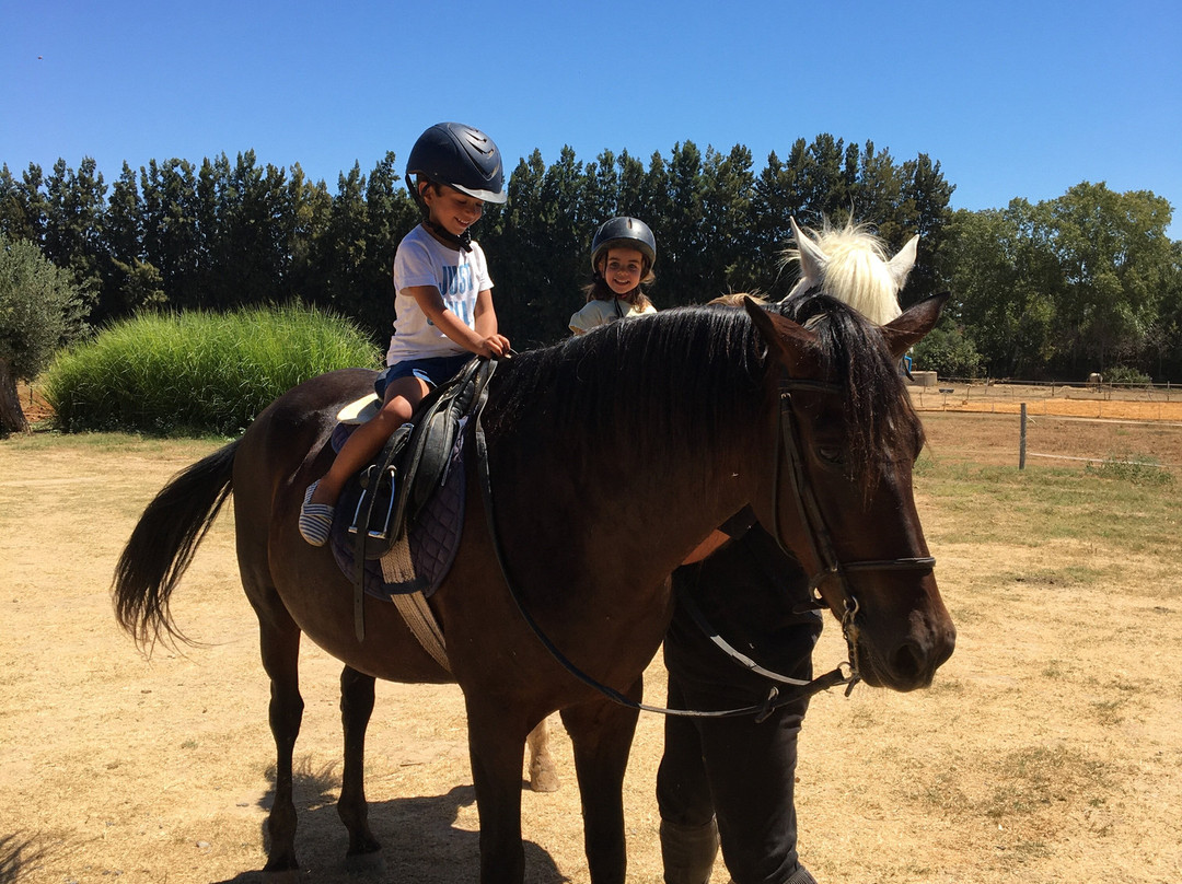 Tavira Equestrian Tourism-塔维拉必去景点
