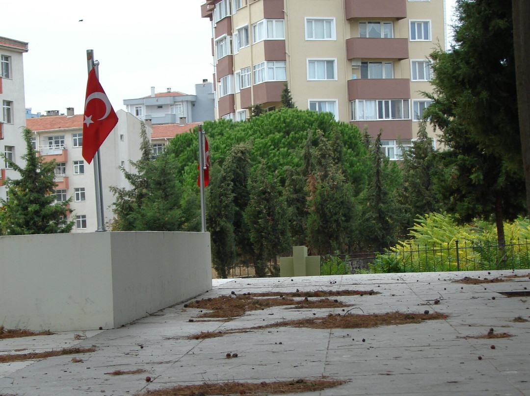 Gelibolu Şehitliği景点图片