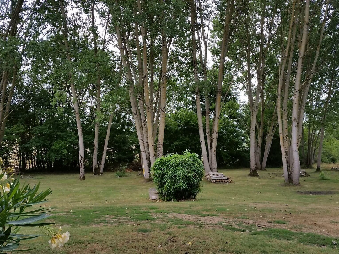Le Moulin de Tauran主图