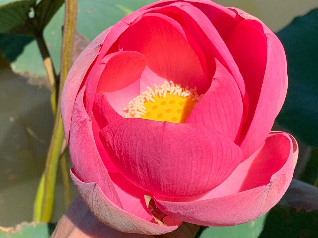 Rybatskiy Hotel Etel主图