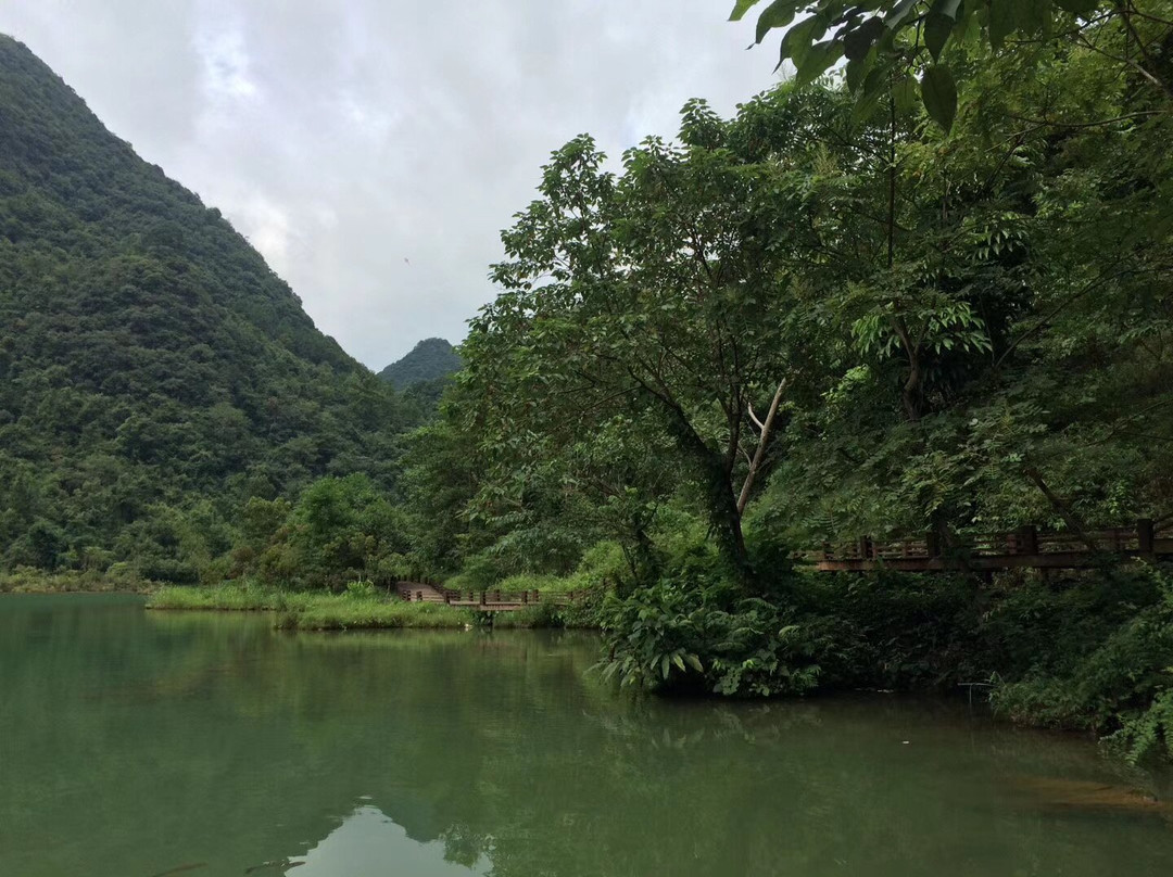 茂兰保护区景点图片