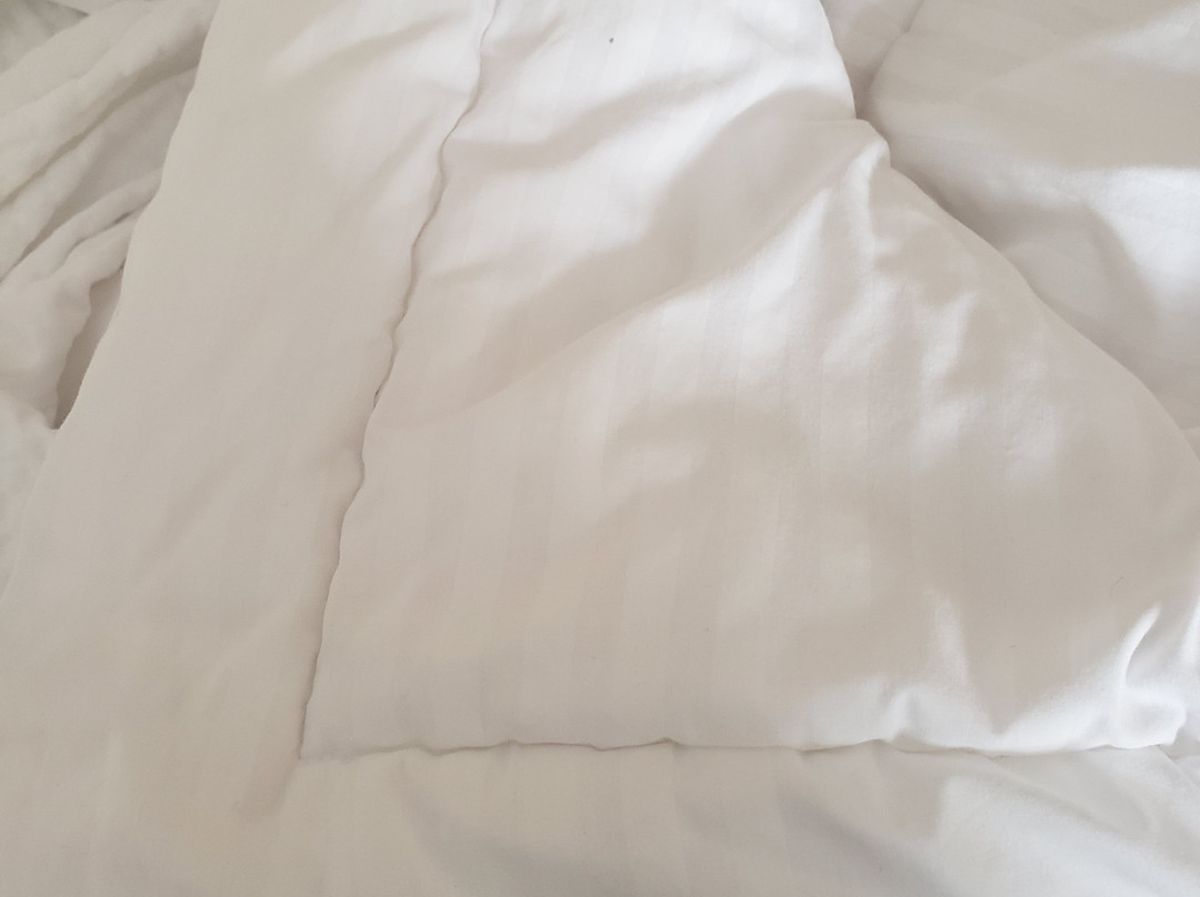 南罗切斯特费尔菲尔德旅馆主图