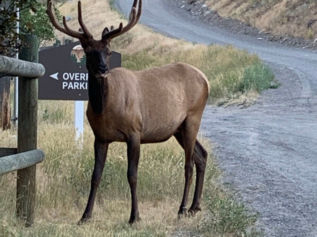 黄石盆地酒店主图