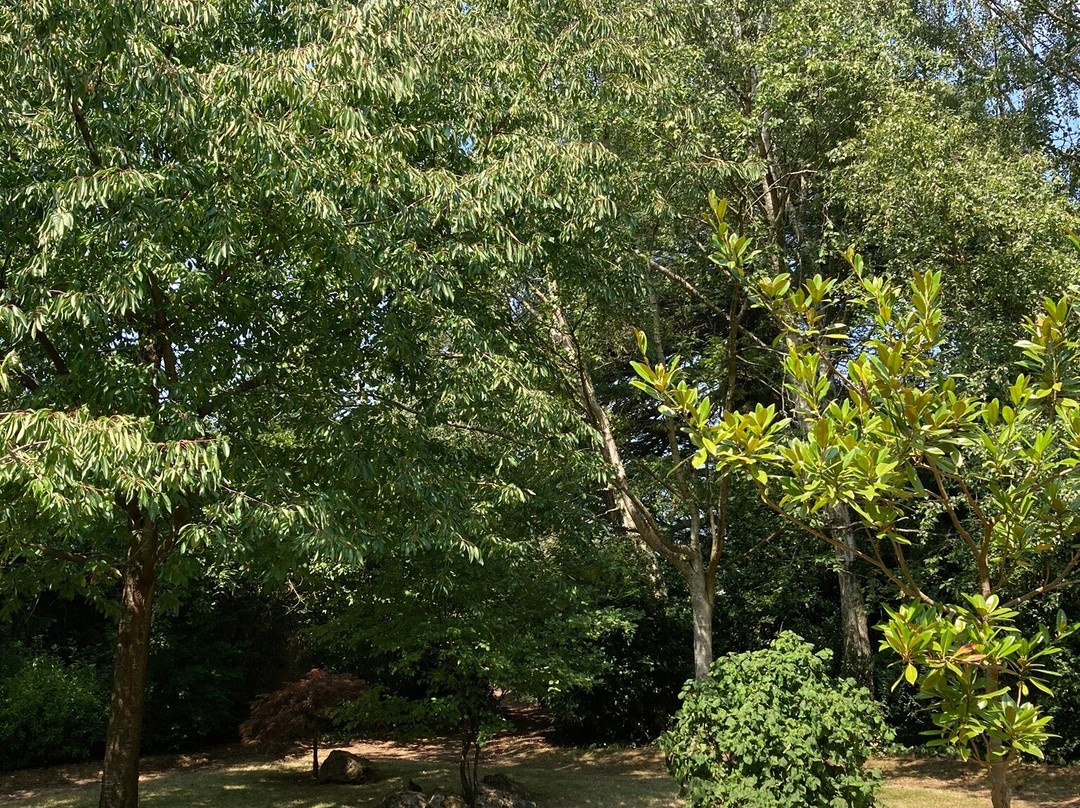 Stockwood Discovery Centre-卢顿必去景点
