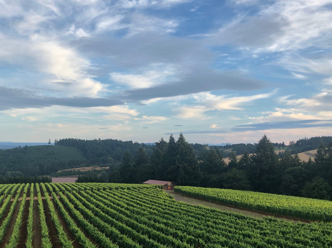 Black Walnut Inn & Vineyard主图