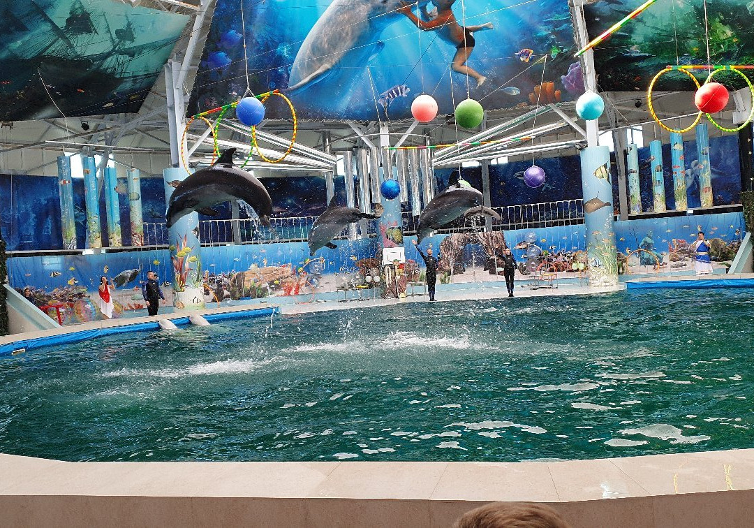 Yevpatoriya Dolphinarium景点图片