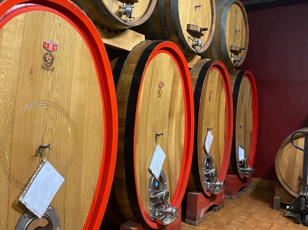 Azienda Agricola San Quirico景点图片