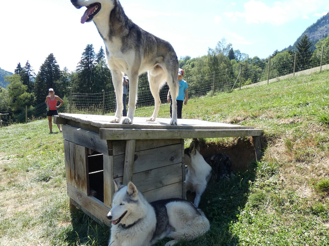 3D NORDIC, chiens de traîneau-Praz Sur Arly必去景点