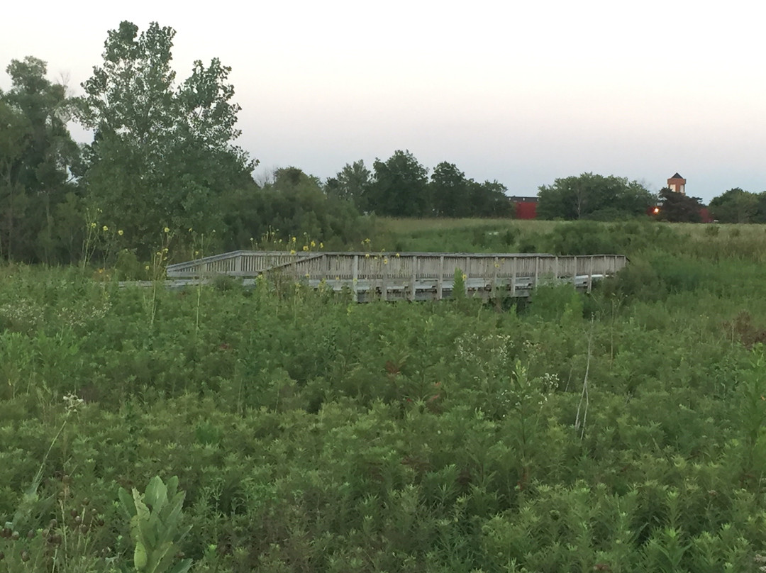 Springbrook Prairie Forest Preserve-内珀维尔必去景点